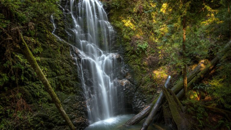 Berry Creek Falls Big Basin Redwoods Wallpaper