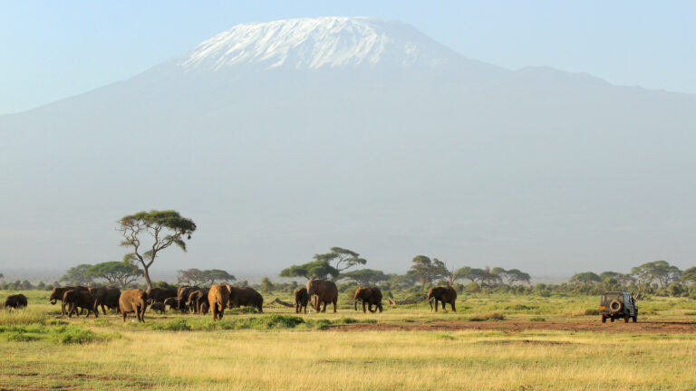 4K Mount Kilimanjaro Wallpaper