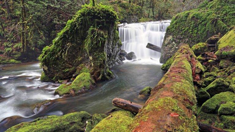 4K Waterfalls in the Middle of Forest Wallpaper